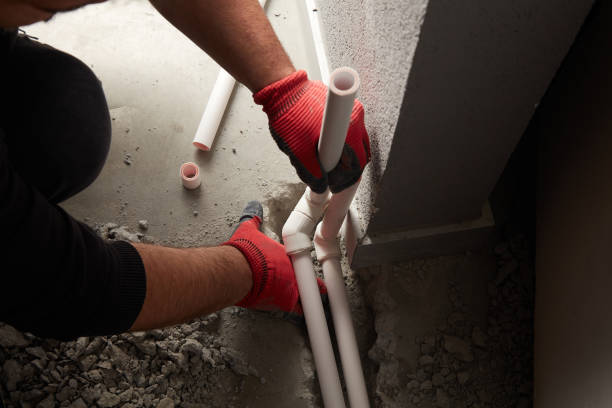 Best Plumbing Services Near Me  in Friona, TX